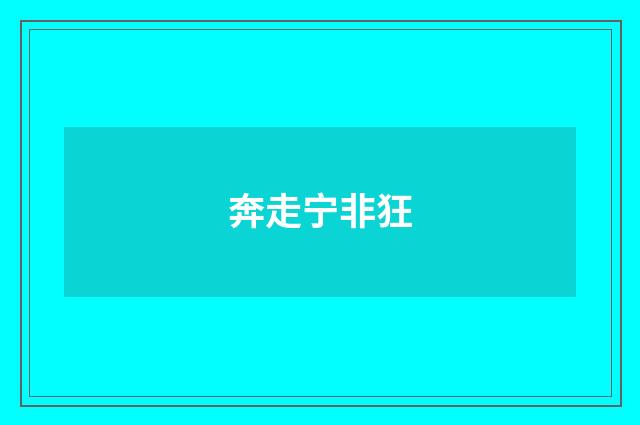 奔走宁非狂