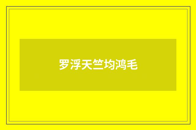 罗浮天竺均鸿毛