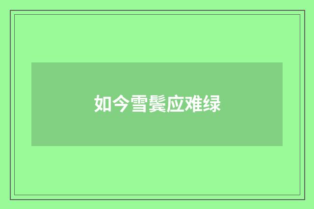 如今雪鬓应难绿