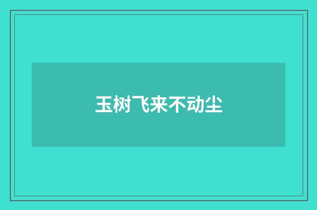 玉树飞来不动尘