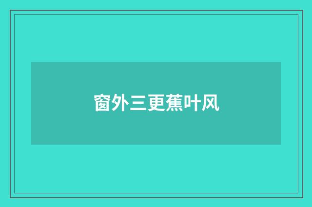 窗外三更蕉叶风