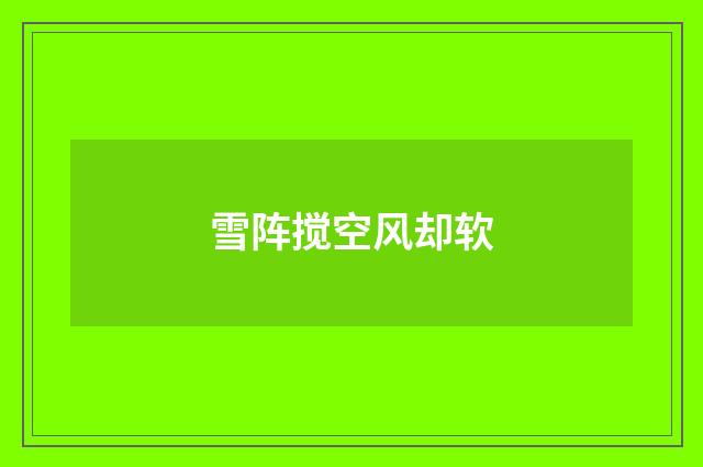 雪阵搅空风却软