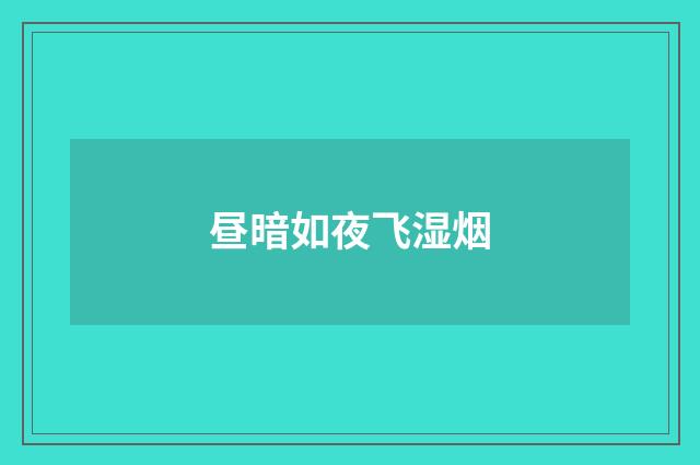 昼暗如夜飞湿烟
