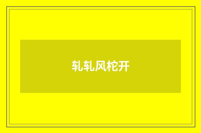 轧轧风柁开