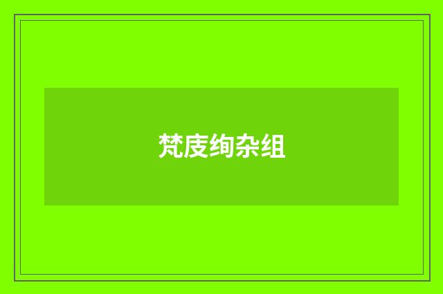 梵庋绚杂组