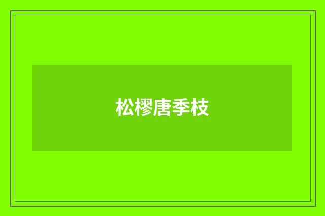松樛唐季枝
