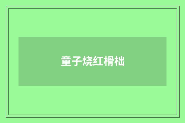 童子烧红榾柮