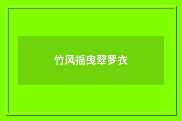竹风摇曳翠罗衣