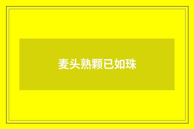麦头熟颗已如珠