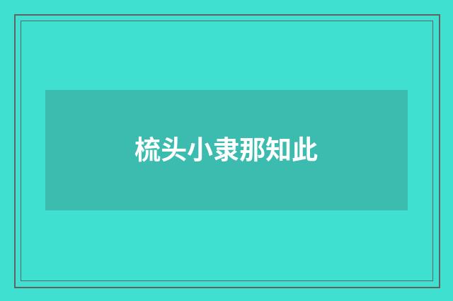 梳头小隶那知此