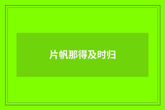 片帆那得及时归