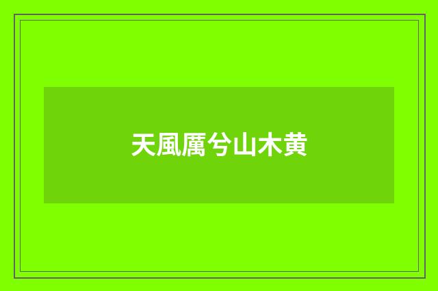 天風厲兮山木黄