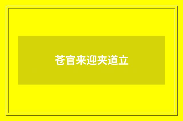 苍官来迎夹道立