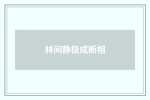 林间静极成断相