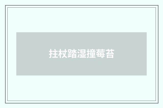 拄杖踏湿撞莓苔