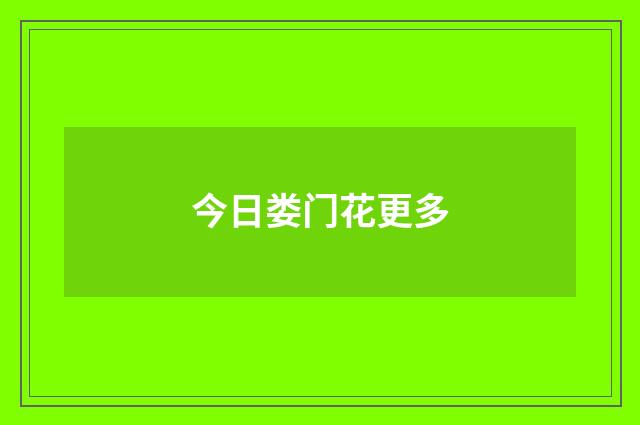 今日娄门花更多