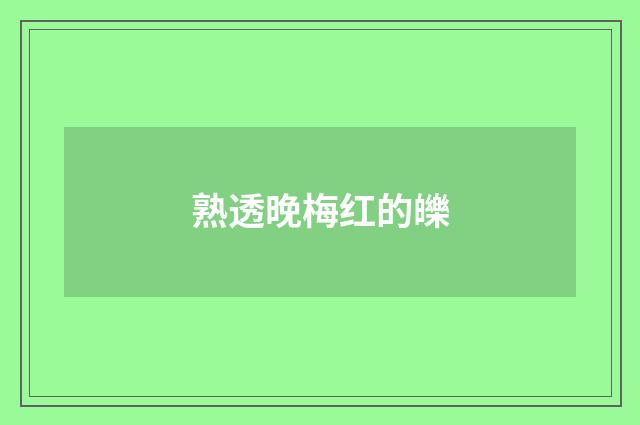 熟透晚梅红的皪