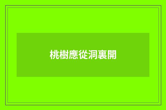 桃樹應從洞裏開