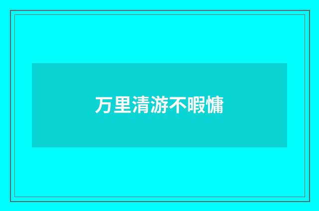 万里清游不暇慵