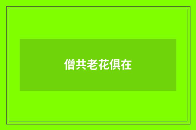 僧共老花俱在