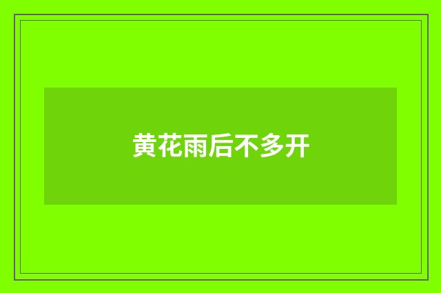 黄花雨后不多开