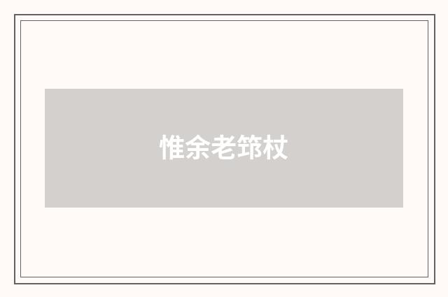 惟余老筇杖
