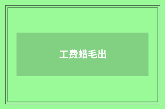 工费蜡毛出