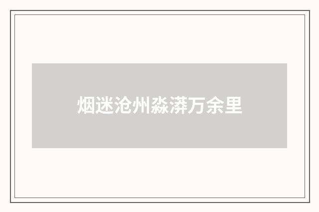 烟迷沧州淼漭万余里