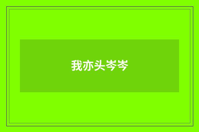 我亦头岑岑