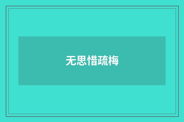 无思惜疏梅