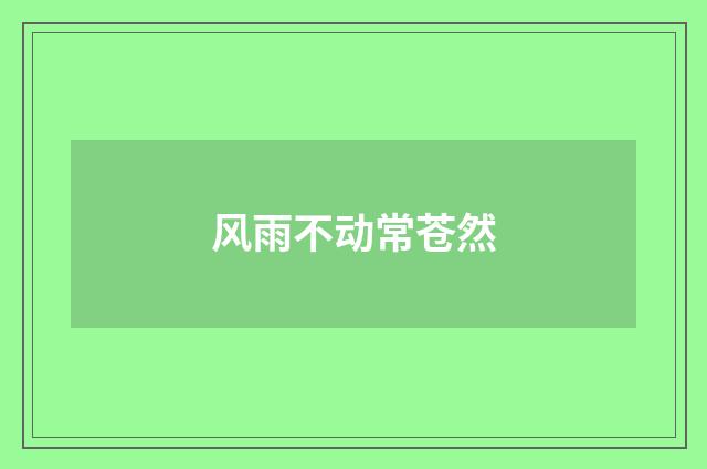 风雨不动常苍然