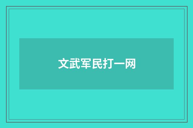文武军民打一网