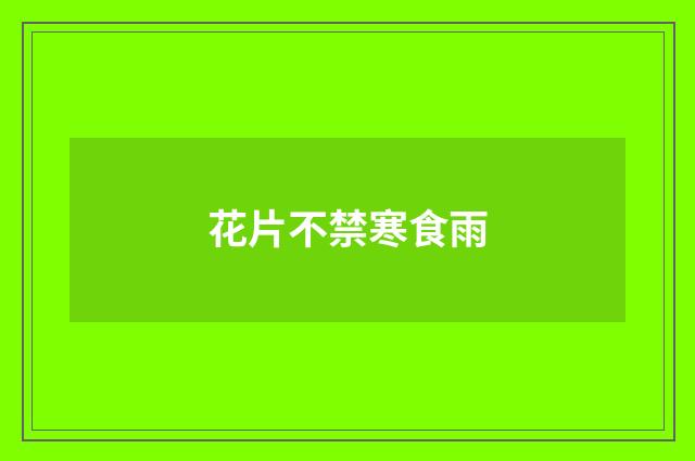 花片不禁寒食雨