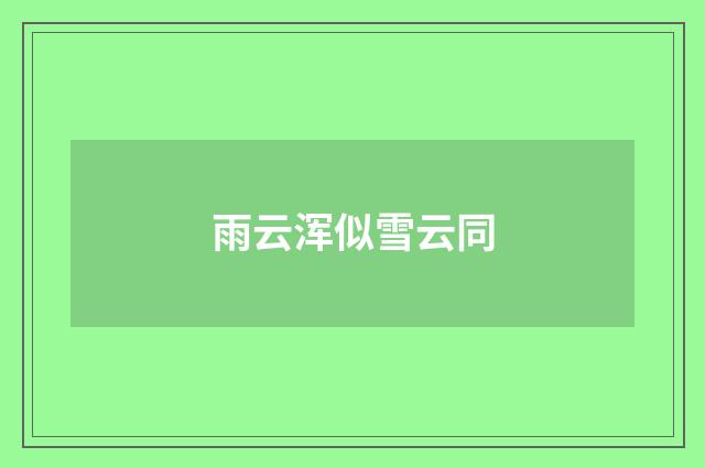雨云浑似雪云同