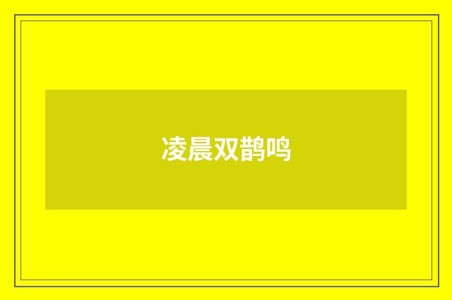 凌晨双鹊鸣