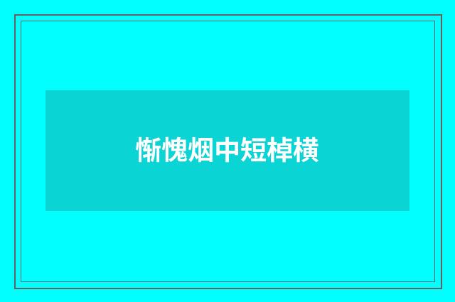 惭愧烟中短棹横