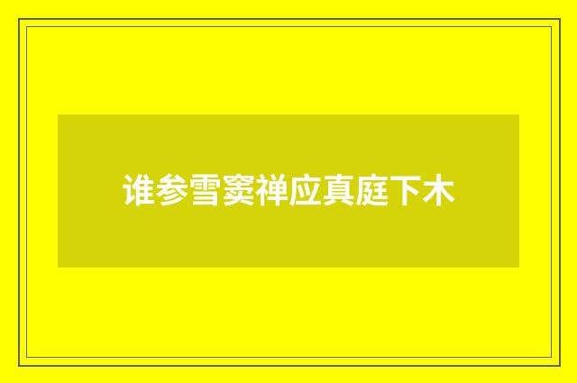 谁参雪窦禅应真庭下木