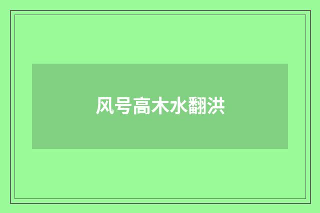 风号高木水翻洪