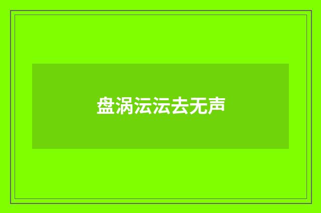 盘涡沄沄去无声