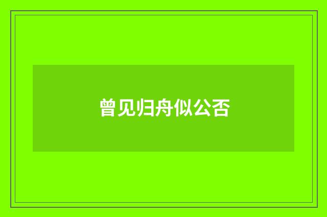 曾见归舟似公否