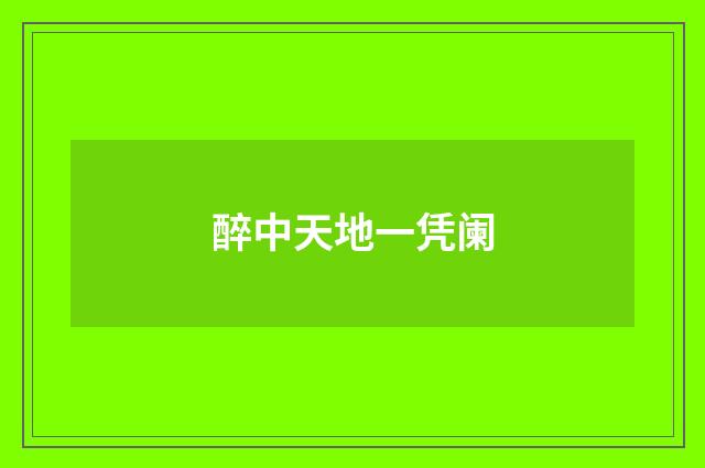 醉中天地一凭阑