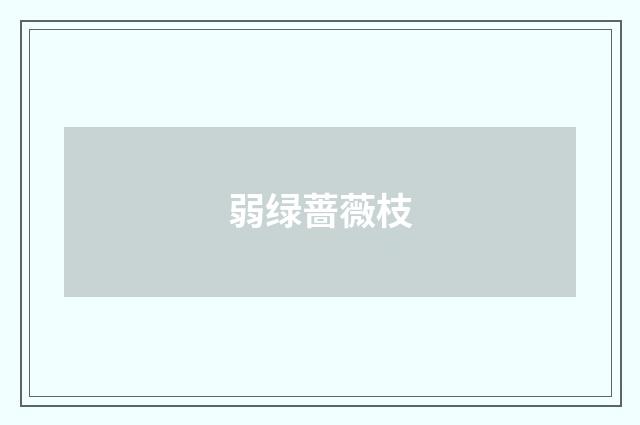弱绿蔷薇枝