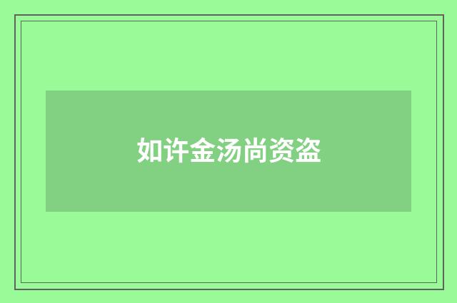 如许金汤尚资盗