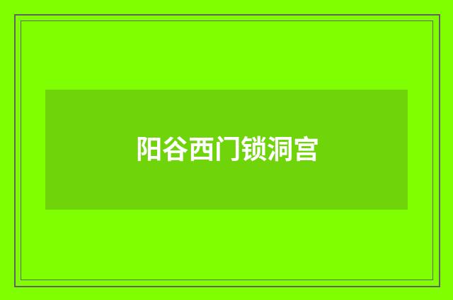 阳谷西门锁洞宫
