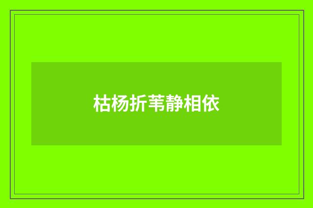 枯杨折苇静相依