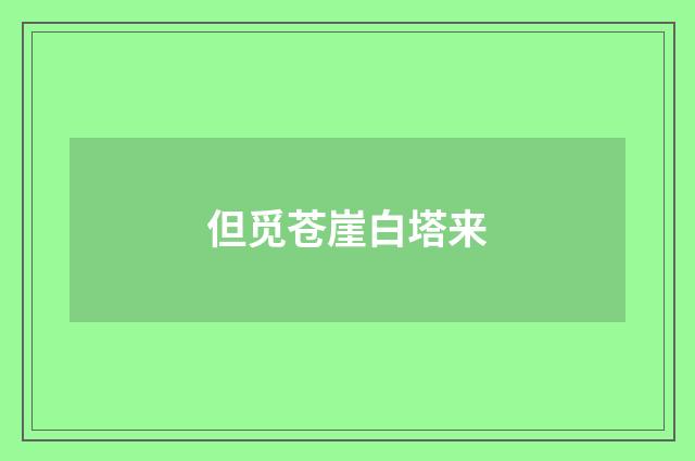 但觅苍崖白塔来