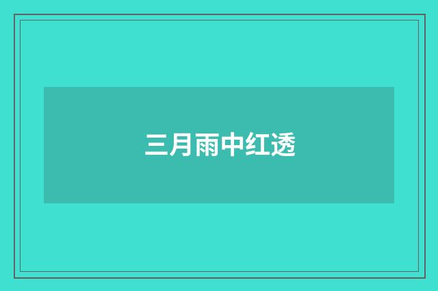 三月雨中红透