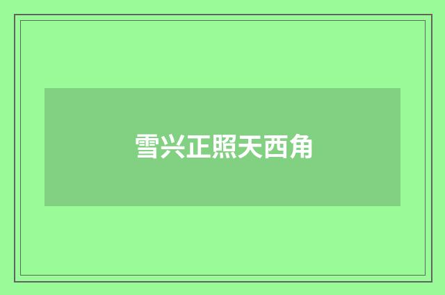 雪兴正照天西角
