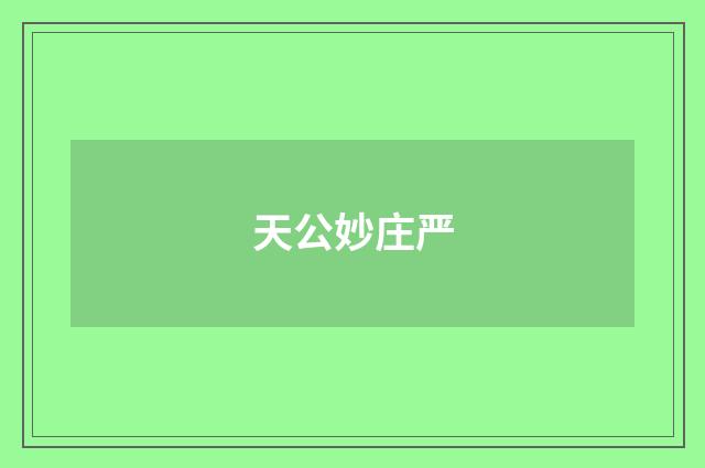 天公妙庄严