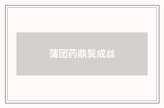 蒲团药鼎鬓成丝